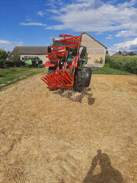 Vogel Noot M 1020