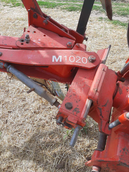 Vogel Noot M 1020