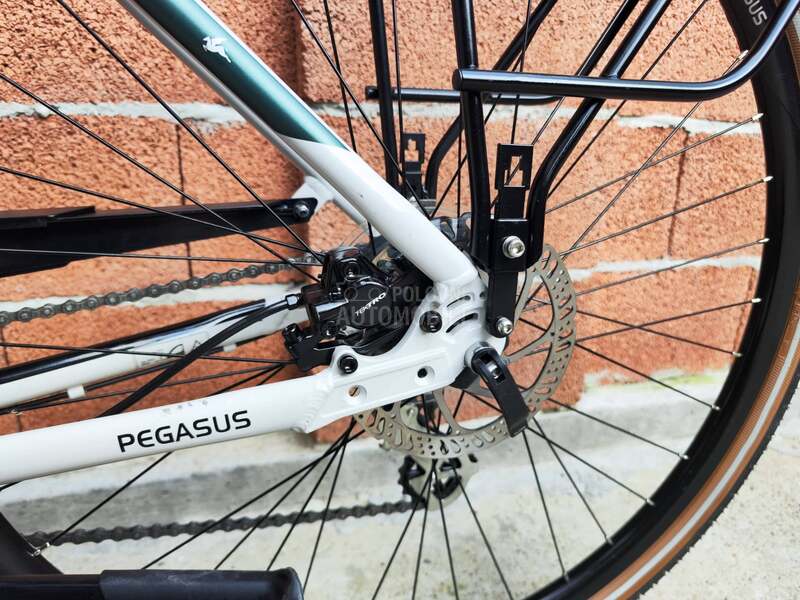Pegasus Solero