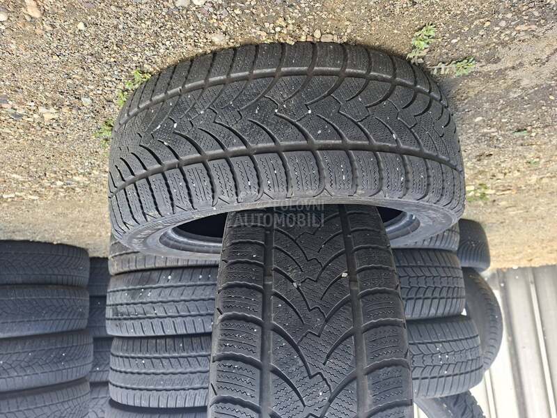 Platin Germany 245/45 R18 Zimska