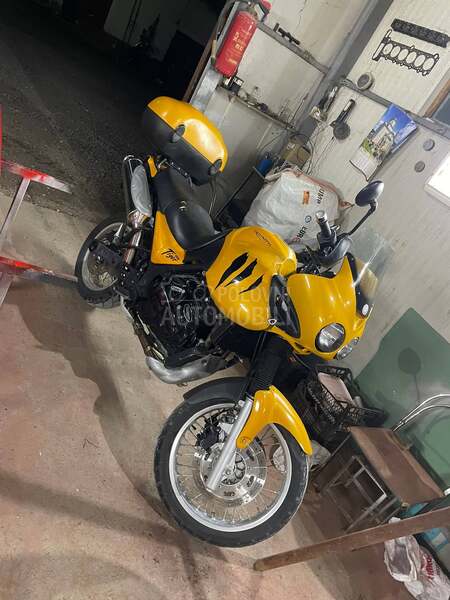 Triumph tiger 955i