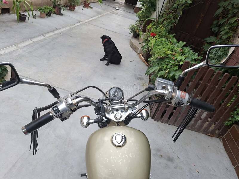 Honda Shadow VT 600
