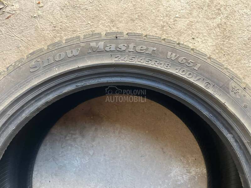 Michelin 245/45 R18 Zimska