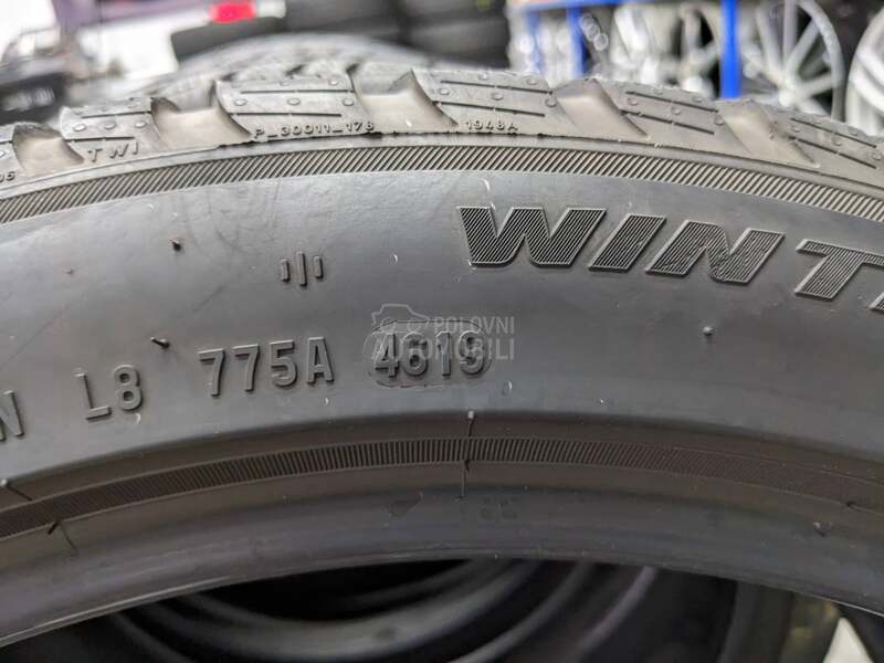 Pirelli 225/45 R19 Zimska