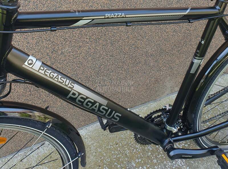 PEGASUS PIZZA XL