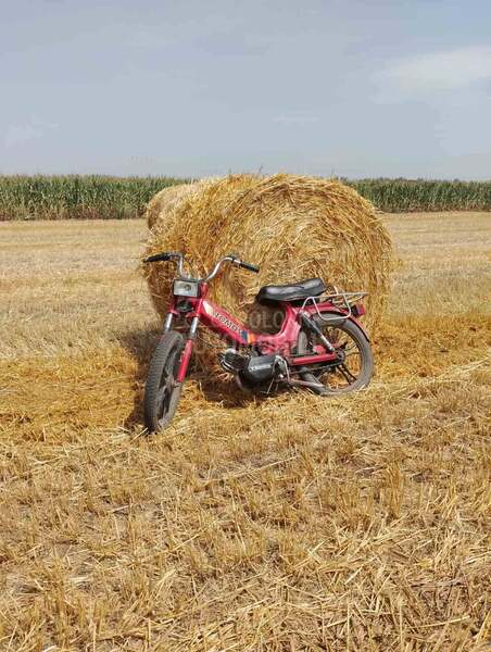 Tomos A3