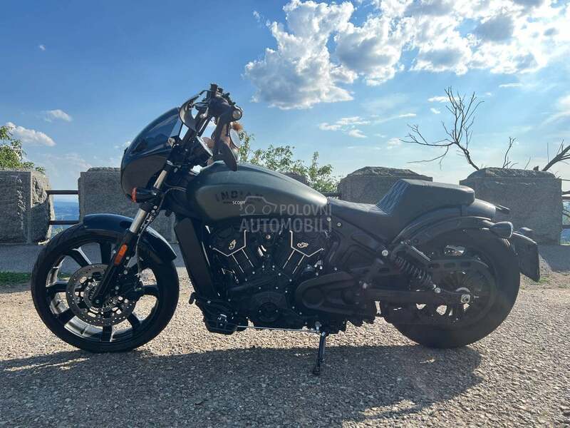 Indian Scout Rogue