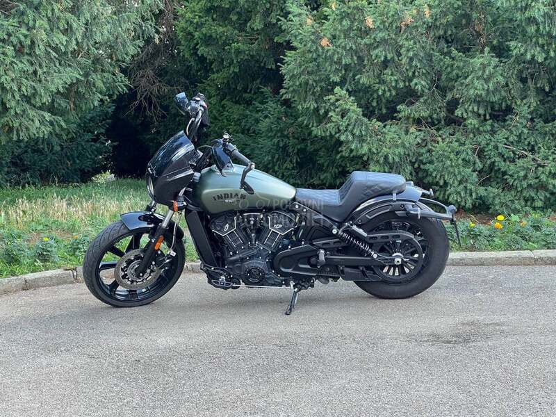 Indian Scout Rogue