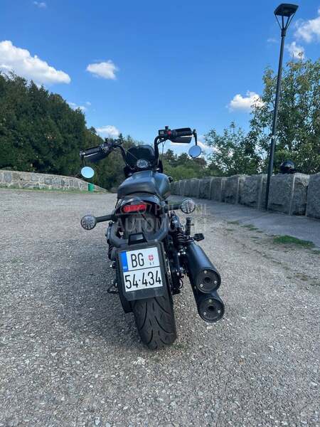 Indian Scout Rogue