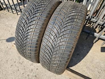 Goodyear 195/55 R16 Sve sezone