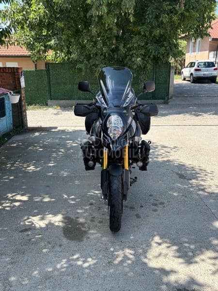 Suzuki v strom