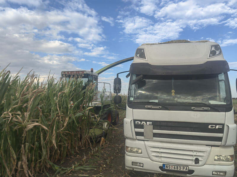 Claas JAGUAR 695