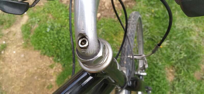 Trek Allant