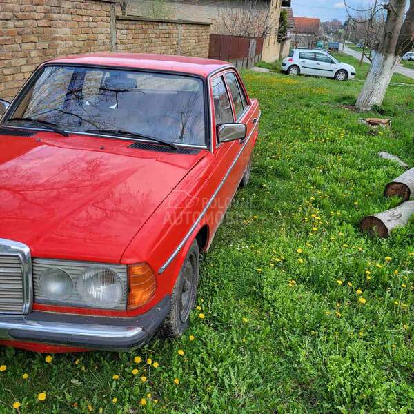 Mercedes Benz W123 