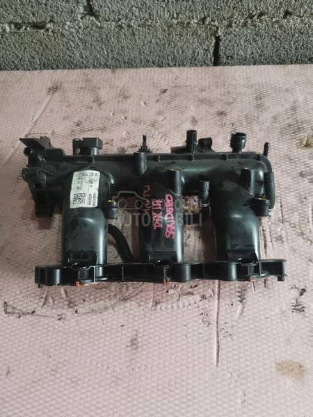 Usisna grana 1.0 TCE