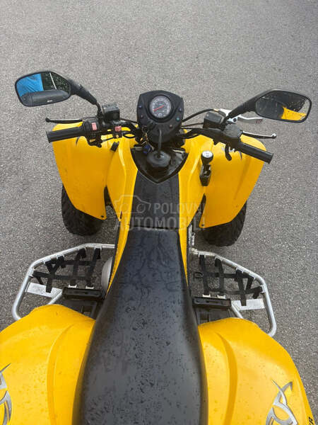 Can-Am DS 250