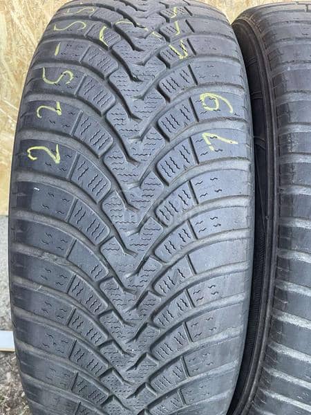 Falken 225/55 R19 Zimska