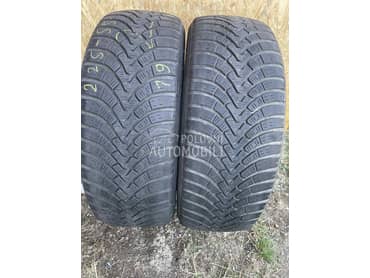 Falken 225/55 R19 Zimska