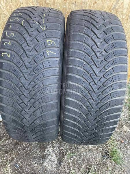Falken 225/55 R19 Zimska