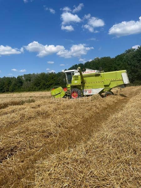 Claas Dominator 56