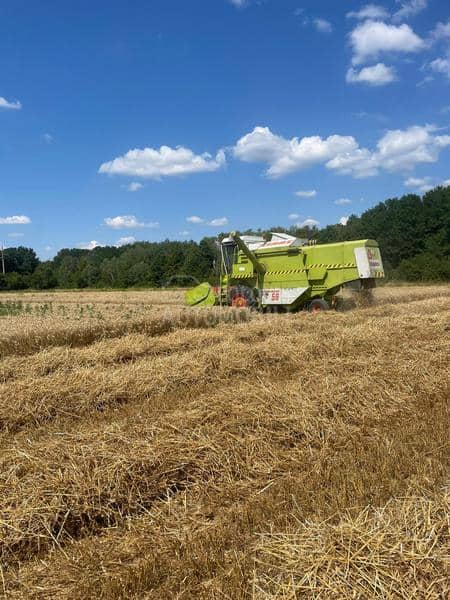 Claas Dominator 56