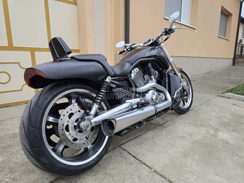 Harley Davidson V ROD MUSCLE VRSCF