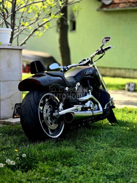 Harley Davidson V ROD MUSCLE VRSCF