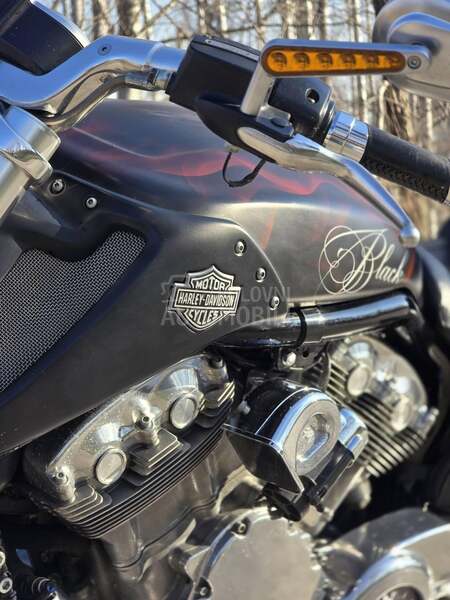 Harley Davidson V ROD MUSCLE VRSCF