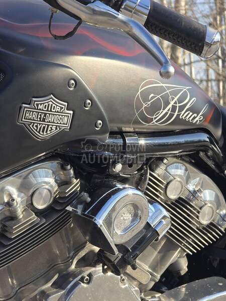 Harley Davidson V ROD MUSCLE VRSCF