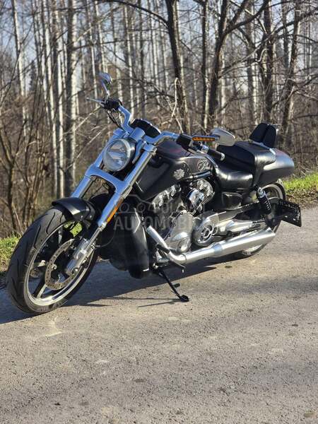 Harley Davidson V ROD MUSCLE VRSCF