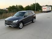 Mercedes Benz ML 250 