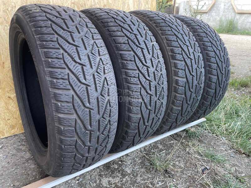 Riken 205/55 R16 Zimska