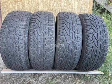 Riken 205/55 R16 Zimska