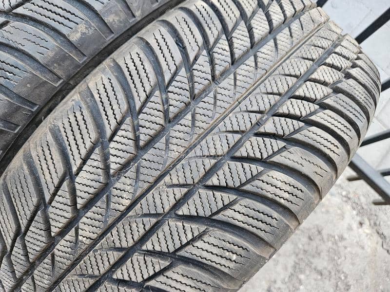 Bridgestone 205/55 R17 Sve sezone