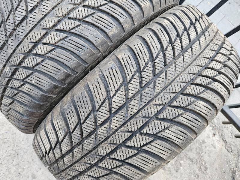 Bridgestone 205/55 R17 Sve sezone