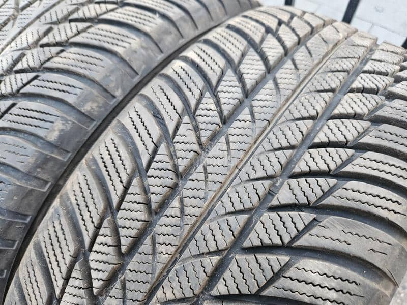 Bridgestone 205/55 R17 Sve sezone