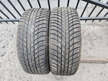 Bridgestone 205/55 R17 Sve sezone