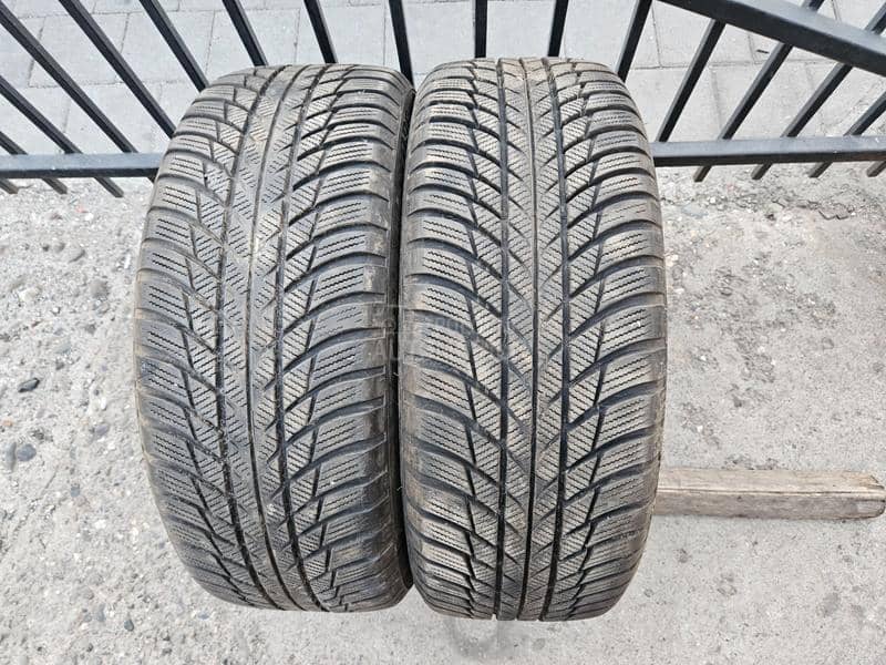 Bridgestone 205/55 R17 Sve sezone