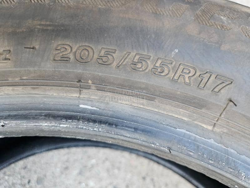 Bridgestone 205/55 R17 Sve sezone