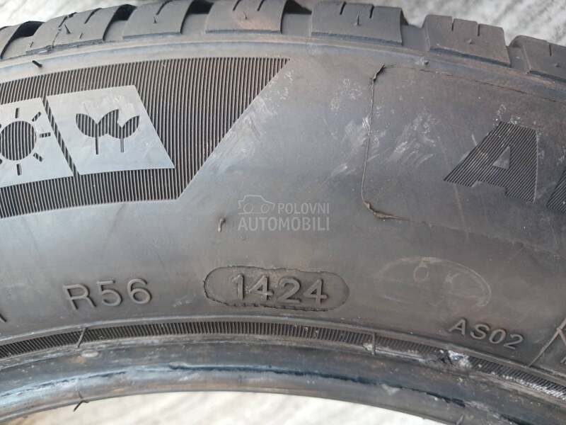 Minerva 165/65 R14 Sve sezone