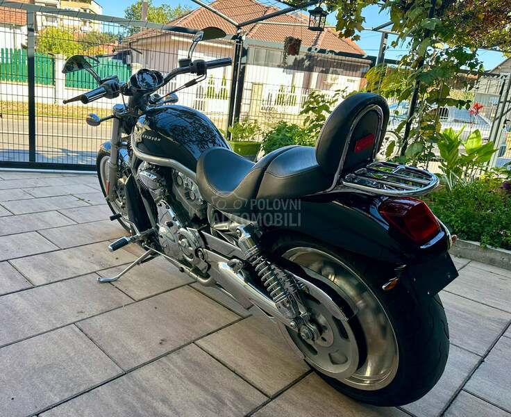 Harley Davidson vrsca v rod