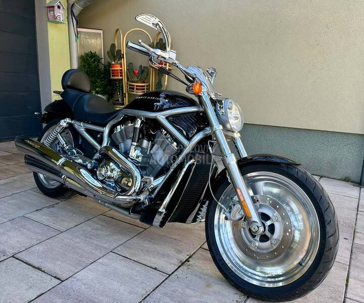 Harley Davidson vrsca v rod