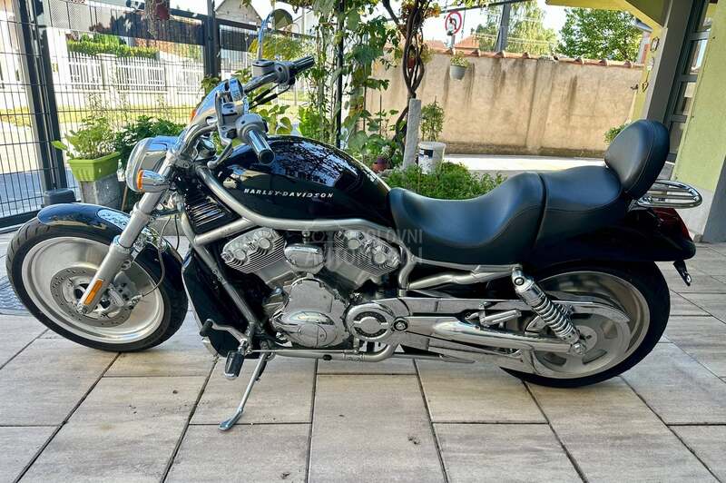 Harley Davidson vrsca v rod