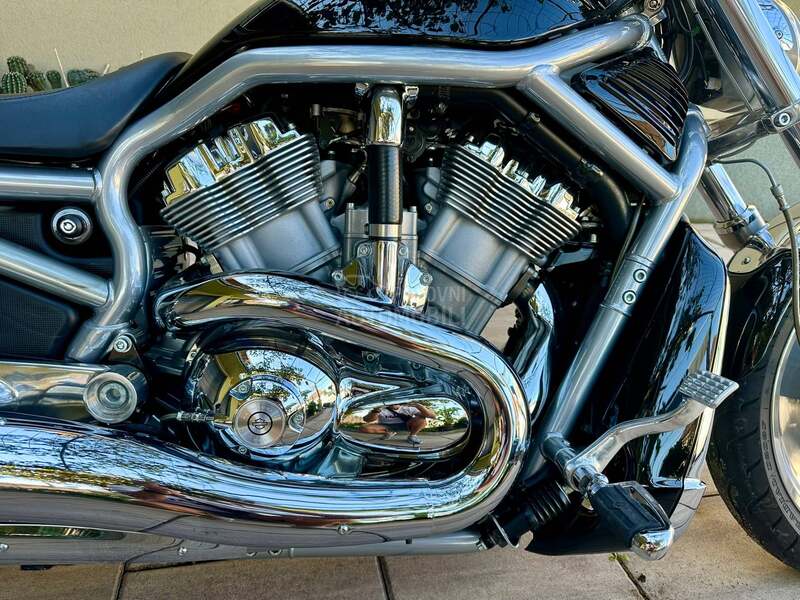 Harley Davidson vrsca v rod