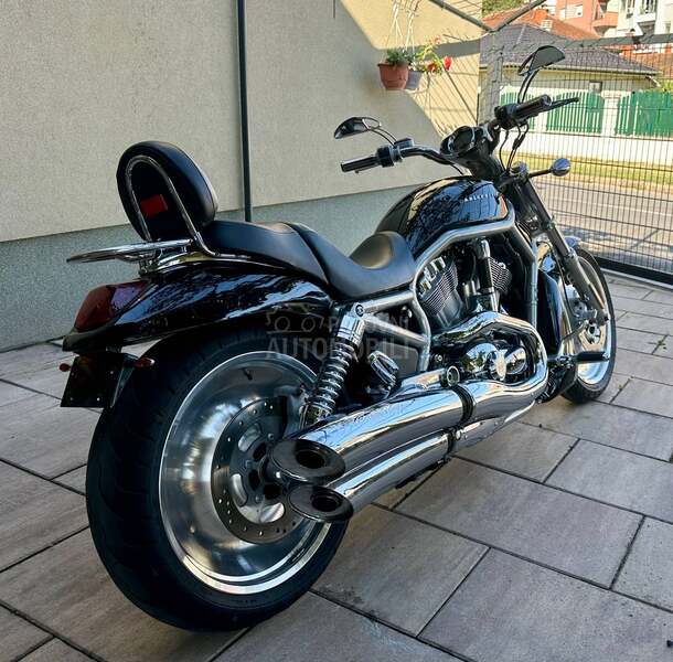 Harley Davidson vrsca v rod