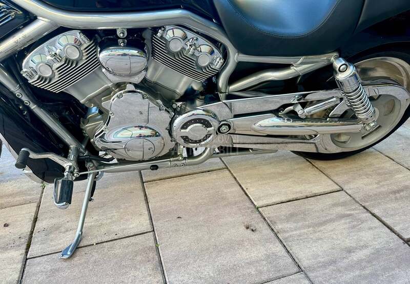 Harley Davidson vrsca v rod