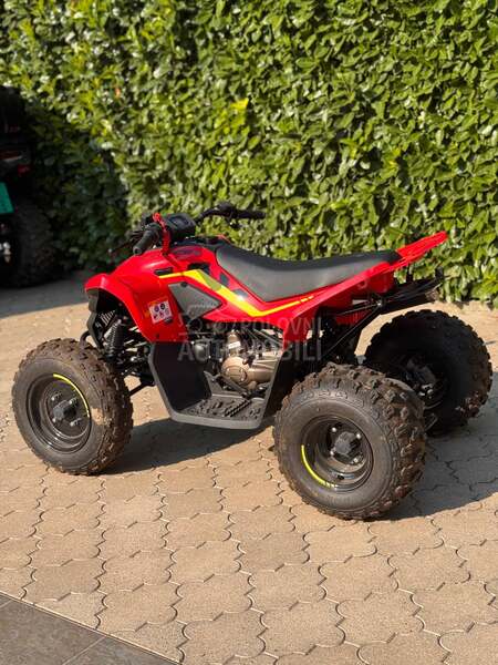 CFMOTO Cforce 110
