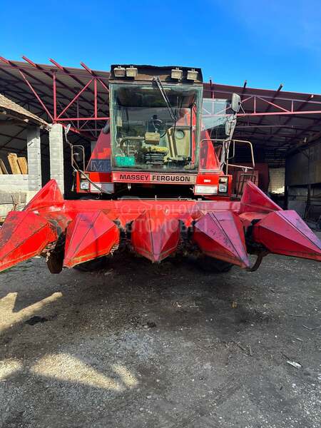 Massey Ferguson 31XP