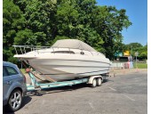 Ranieri Rio 750 cruiser