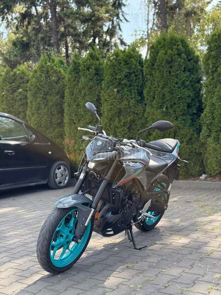 Yamaha mt 03 samo kess